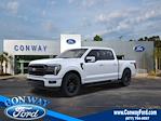 2025 Ford F-150 SuperCrew Cab 4x4 Pickup for sale #34276 - photo 1