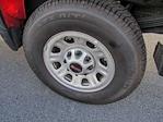 New 2025 GMC Sierra 2500 Pro Double Cab 4WD Pickup for sale #L42338 - photo 10