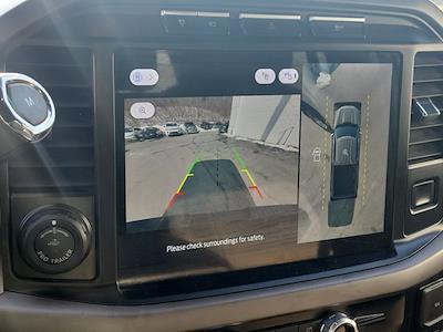 2024 Ford F-150 SuperCrew Cab 4WD Pickup for sale #23T9785 - photo 2