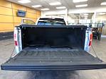 2013 Ford F-150 Regular Cab 4x2 Pickup for sale #2413101 - photo 19