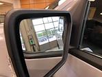 2025 Ford F-150 SuperCrew Cab 4x4 Pickup for sale #250320 - photo 23