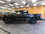 New 2025 Ford F-150 XLT SuperCrew Cab 4x4 Pickup for sale #250729 - photo 5