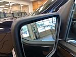 New 2025 Ford F-150 Platinum SuperCrew Cab 4x4 Pickup for sale #250890 - photo 25