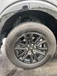 2024 Ford F-150 SuperCrew Cab 4WD Pickup for sale #2650093A - photo 4