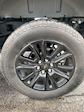 2024 Ford F-150 SuperCrew Cab 4WD Pickup for sale #2650093A - photo 5