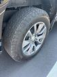 2022 Chevrolet Silverado 1500 Double Cab 4WD Pickup for sale #5648861C - photo 8