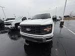 2025 Ford F-150 Regular Cab 4WD Pickup for sale #5649803A - photo 20