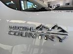 2020 Chevrolet Silverado 3500 Crew Cab SRW 4WD Pickup for sale #5696969A - photo 27