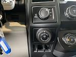 2019 Ford F-150 Super Cab 4WD Pickup for sale #56T10821 - photo 14