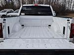 2025 Ford F-150 SuperCrew Cab 4x4 Pickup for sale #25FP026 - photo 23