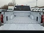 2025 Ford F-150 SuperCrew Cab 4x4 Pickup for sale #25FP047 - photo 23
