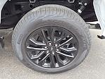 New 2025 Ford F-150 XLT SuperCrew Cab for sale #25FP135 - photo 6