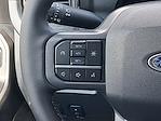 2025 Ford F-250 Crew Cab 4x4 Pickup for sale #25FT073 - photo 12