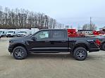 New 2026 Ford F-150 STX SuperCrew Cab for sale #26FP016 - photo 3