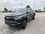 2025 Chevrolet Silverado 1500 Crew Cab 4x4 Pickup for sale #3B4888 - photo 6