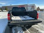 2019 Chevrolet Silverado 1500 Double Cab 4WD Pickup for sale #3B49311 - photo 14