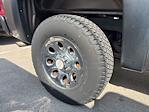 2012 Chevrolet Silverado 1500 Regular Cab 4x4 Pickup for sale #3B49981 - photo 9