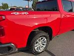 2024 Chevrolet Silverado 1500 Crew Cab 4x4 Pickup for sale #3B50221 - photo 19