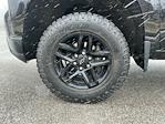 2019 Chevrolet Silverado 1500 Double Cab 4WD Pickup for sale #3C44841 - photo 16