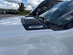 2010 Chevrolet Silverado 3500 Regular Cab RWD Dump Truck for sale #3FL14181 - photo 4