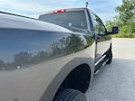 2023 Ram 3500 Crew Cab DRW 4x4 Pickup for sale #3FL14781 - photo 9