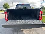 2024 Ford F-250 Crew Cab 4x4 Pickup for sale #M28976 - photo 9