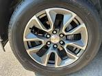 2023 Chevrolet Silverado 1500 Double Cab 4WD Pickup for sale #P7733C - photo 14