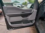 2025 Ford F-150 Regular Cab 4WD Pickup for sale #J16510 - photo 14
