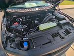 2025 Ford F-150 Regular Cab 4WD Pickup for sale #J16510 - photo 28