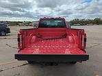 New 2025 Ford F-350 XL Regular Cab 4WD Plow Truck for sale #J16580 - photo 8
