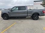 2022 Ford F-150 SuperCrew Cab 4WD Pickup for sale #P18672 - photo 13