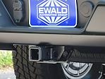 2025 Chevrolet Silverado 1500 Regular Cab 4WD Pickup for sale #25C803 - photo 13