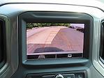 2025 Chevrolet Silverado 1500 Regular Cab 4WD Pickup for sale #25C803 - photo 7