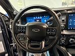 Used 2024 Ford F-250 Platinum Crew Cab for sale #H30963A - photo 10