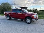 2014 Ford F-150 SuperCrew Cab 4WD Pickup for sale #H58505B - photo 3