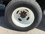New 2024 Ford E-350 Morgan Truck Body Box Van for sale #HH26935 - photo 25