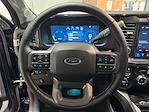 2024 Ford F-250 Crew Cab 4WD Pickup for sale #HH29277 - photo 16