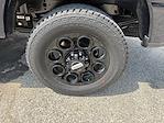 New 2025 Ford F-250 XLT Crew Cab 4WD Pickup for sale #HJ30131 - photo 29