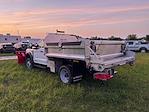 2025 Ford F-550 Regular Cab DRW 4WD Cab Chassis for sale #HJ30418 - photo 4