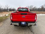New 2025 Ford F-250 XL Regular Cab Plow Truck V-Plow for sale #HJ31042 - photo 9