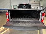2020 Ford F-450 Crew Cab DRW 4WD Pickup for sale #HP58700 - photo 32
