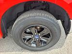 2020 Ford F-150 Regular Cab 4x2 Pickup for sale #C243345A - photo 16