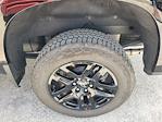 2025 Chevrolet Silverado 1500 Crew Cab 4x4 Pickup for sale #C253361A - photo 22