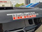 2024 Chevrolet Silverado 1500 Crew Cab 4x4 Pickup for sale #C253364B - photo 14