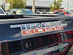 2022 Chevrolet Silverado 1500 Crew Cab 4x4 Pickup for sale #C253380A - photo 10