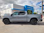 2024 Chevrolet Silverado 1500 Crew Cab 4x4 Pickup for sale #C261195A - photo 5