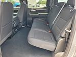 2024 Chevrolet Silverado 1500 Crew Cab 4x2 Pickup for sale #CF17784 - photo 7