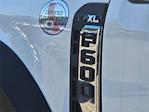 2024 Ford F-600 Regular Cab DRW 4x4 Cab Chassis for sale #24FC737 - photo 18