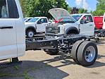 2025 Ford F-450 Regular Cab DRW 4x4 Cab Chassis for sale #25FC370 - photo 3