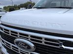 New 2025 Ford F-450 Regular Cab 4x4 Dump Truck for sale #25FC469 - photo 13